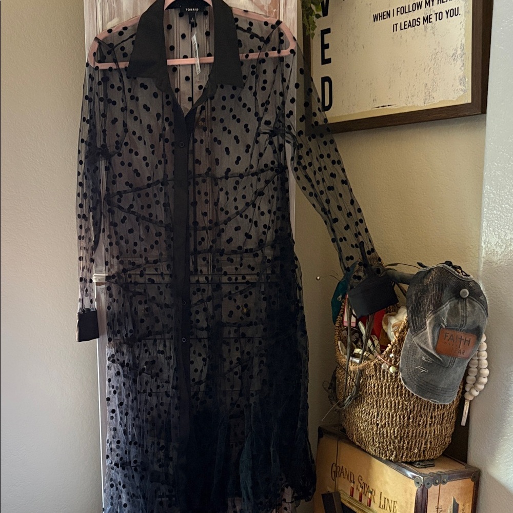 Torrid Black Sheer Polka Dot Dress